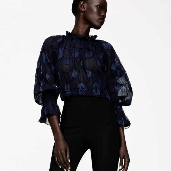 NWT Zara Semi Sheer Blouse - Picture 1 of 8